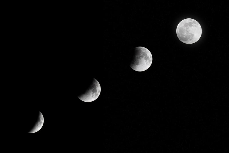 Moon Menu Delights