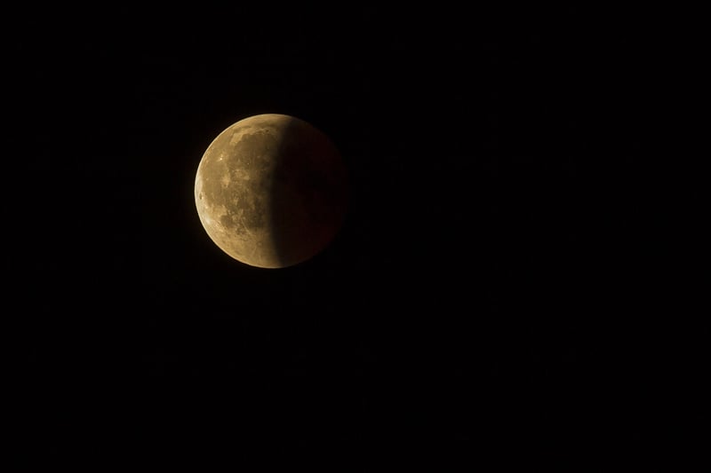 Eclipse Elopement Image